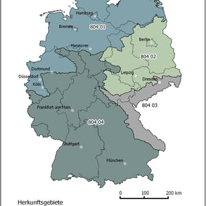 804 Sandbirke-Hängebirke 
