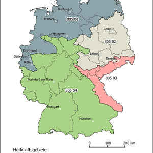 805 Moorbirke