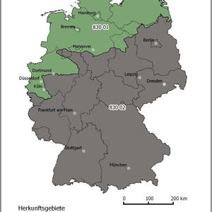 830 Grosse-Küstentanne