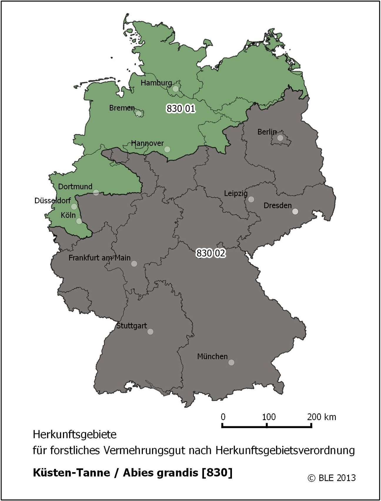 KArte Abies grandis [HkG 830] (Große Küstentanne)