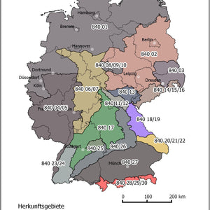 840 Fichte