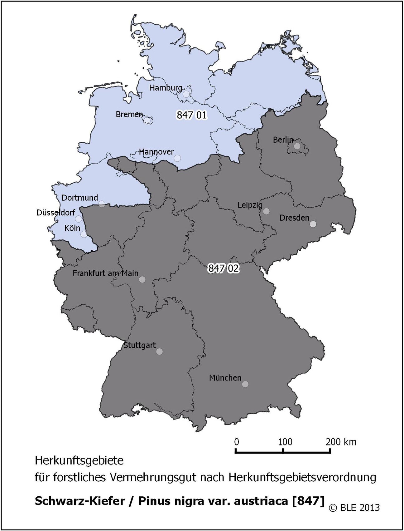 Karte für Pinus nigra austriaca [HkG 847-849] (Schwarzkiefer)