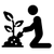 Pflanzhinweise