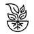 Pflanzung von Ballenpflanzen