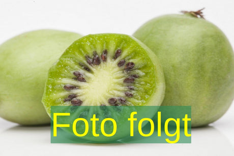 Je nach Variante (siehe Beschreibung) werden entsprechende Pflanzen geliefert, jahreszeitbedingt sehen Pflanzen unterschiedlich aus.