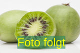 Je nach Variante (siehe Beschreibung) werden entsprechende Pflanzen geliefert, jahreszeitbedingt sehen Pflanzen unterschiedlich aus.