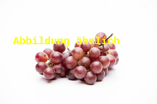 Genaues Foto für Vitis 'Alexandra' folgt; dieses ähnliche Bild dient der Illustration von Tafeltraube 'Alexandra'