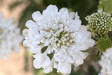 jahreszeitbedingt sehen Pflanzen unterschiedlich aus.