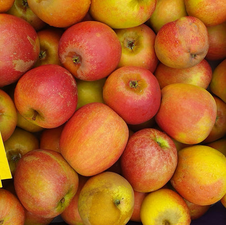 Apfel 'Holsteiner Cox' mittel; mit Früchten/Fruchtbehang; hoher Ertrag; Einsatzmöglichkeit z.B. : Ziergehölz; erhältlich von 150-200 bis 450-650 cm;;hier kaufen