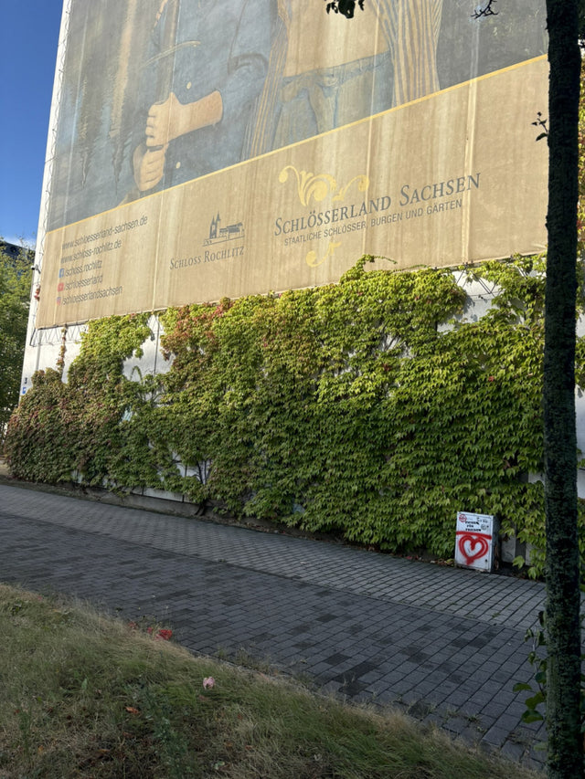 Je nach Variante (siehe Beschreibung) werden entsprechende Pflanzen geliefert, jahreszeitbedingt sehen Pflanzen unterschiedlich aus.