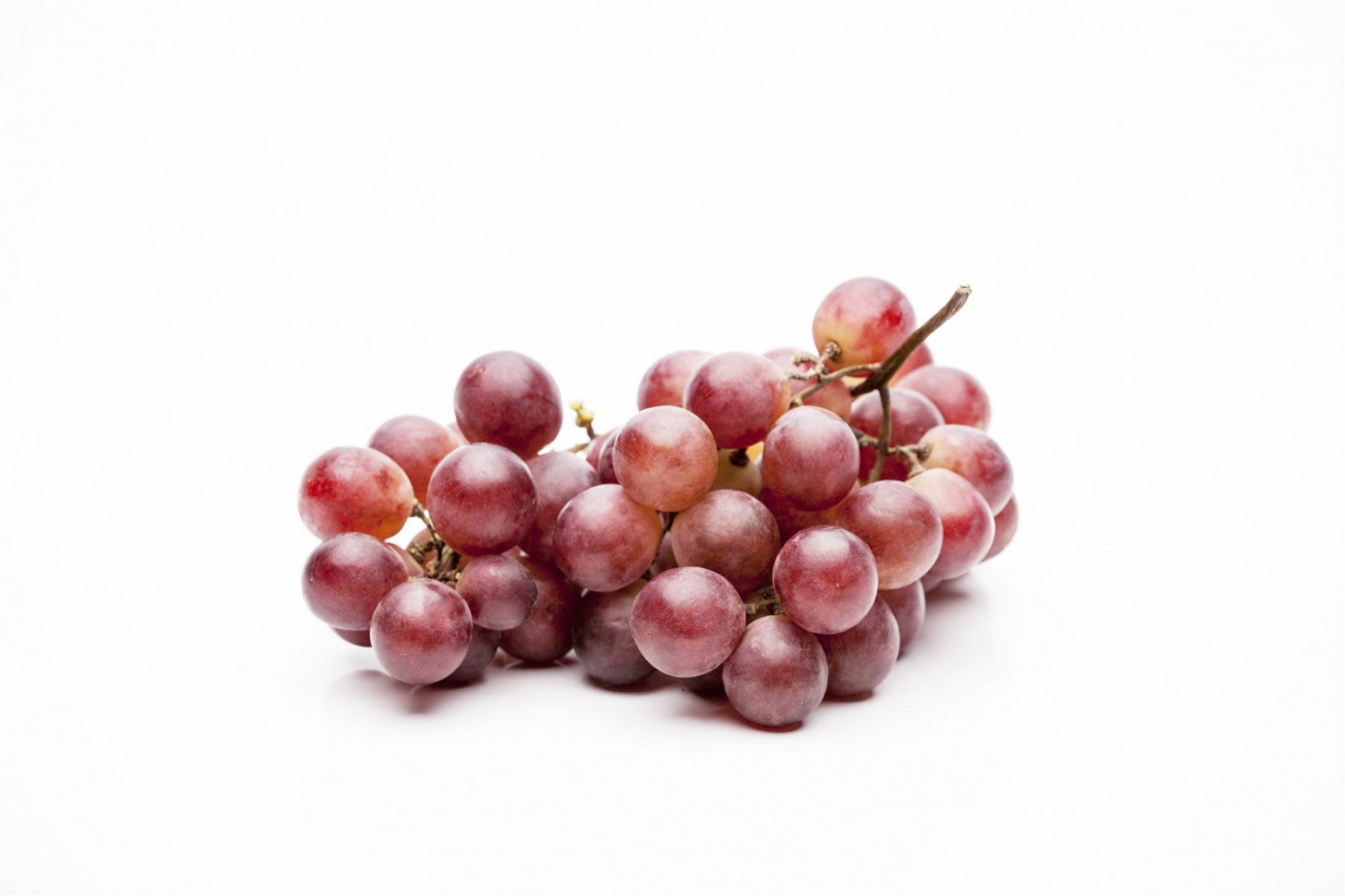 Vitis 'Cardinal' (Rote Tafeltraube 'Cardinal')